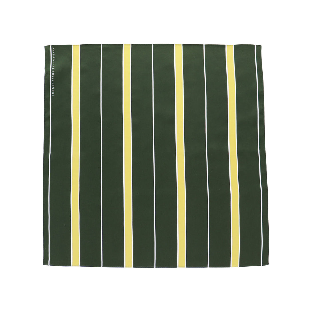 Handkerchief (Ivy Stripe) – CLASSICS the Small Luxury