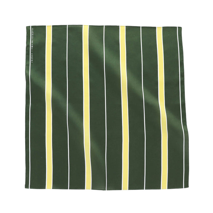 Handkerchief (Ivy Stripe) – CLASSICS the Small Luxury