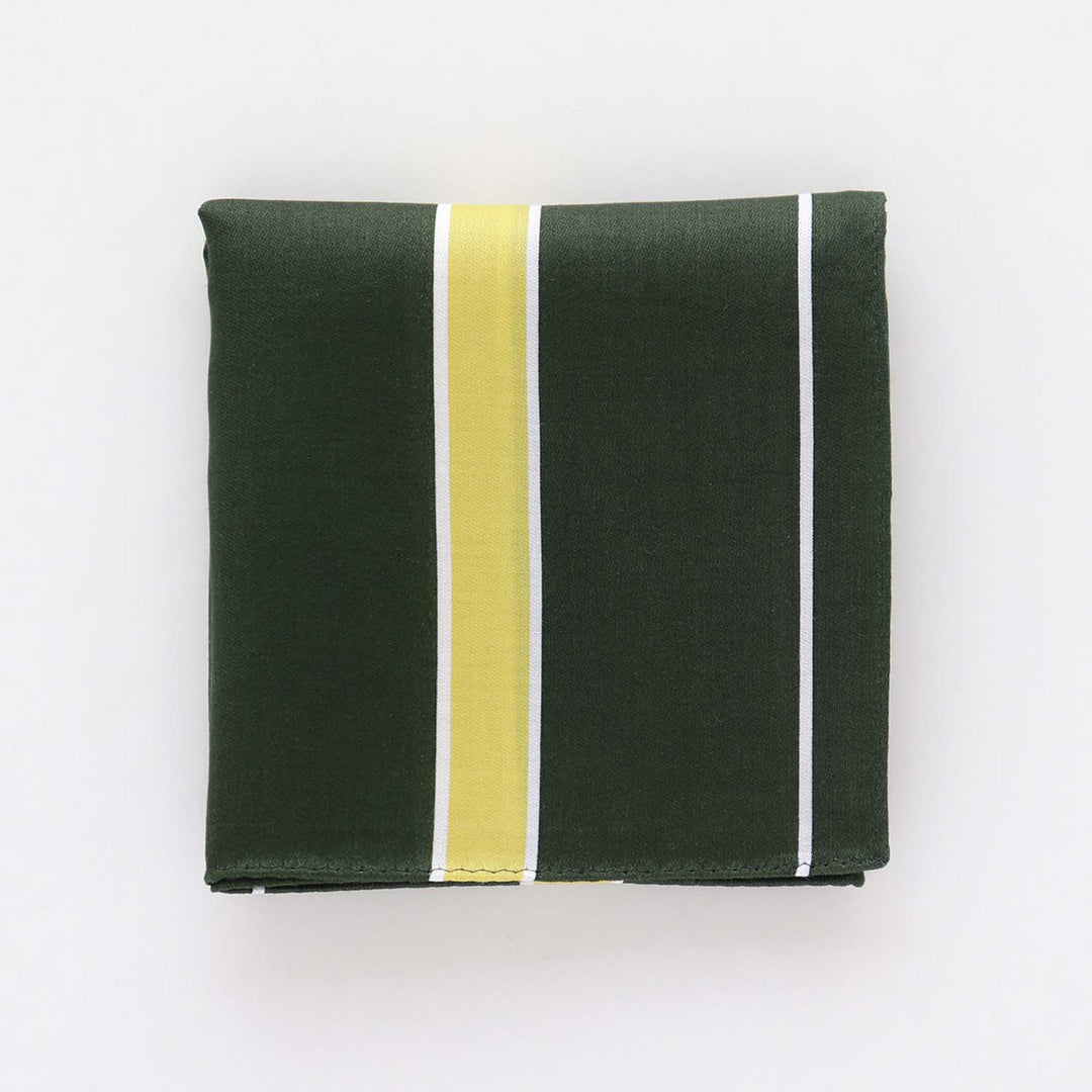 Handkerchief (Ivy Stripe) – CLASSICS the Small Luxury