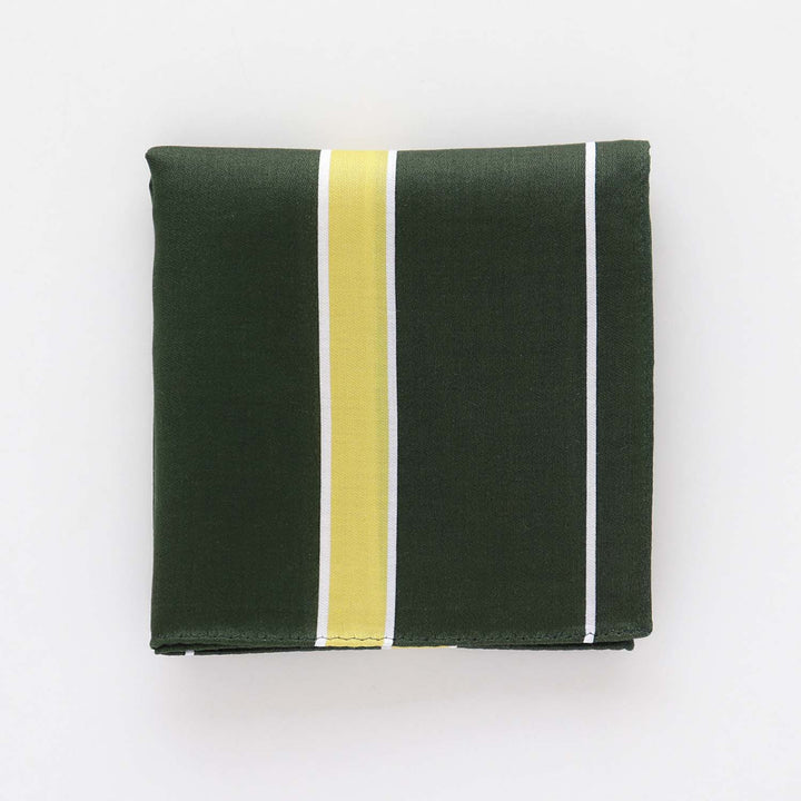 Handkerchief (Ivy Stripe) – CLASSICS the Small Luxury